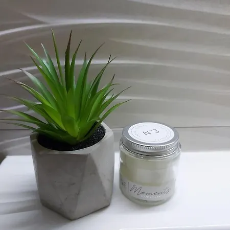 Kat Apartman Szabadka