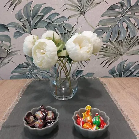 Kat Apartman Apartman Szabadka