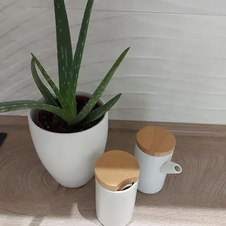 Apartman Kat Apartman