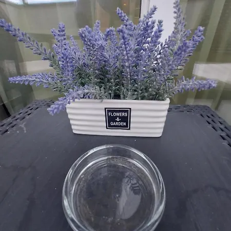 Apartman Kat Apartman *